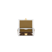 Сумка Louis Vuitton Papillon Trunk White/Brown