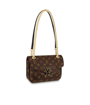 Сумка Louis Vuitton Passy коричневая