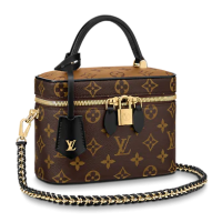  Сумка Louis Vuitton Vanity PM коричневая