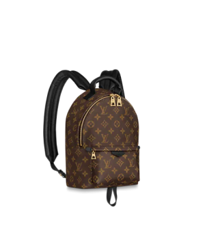 Рюкзак Louis Vuitton Palm Springs pm коричневый