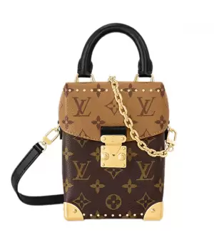 Сумка Louis Vuitton Camera Box Brown