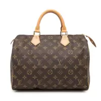 Сумка Louis Vuitton Speedy 30 коричневая